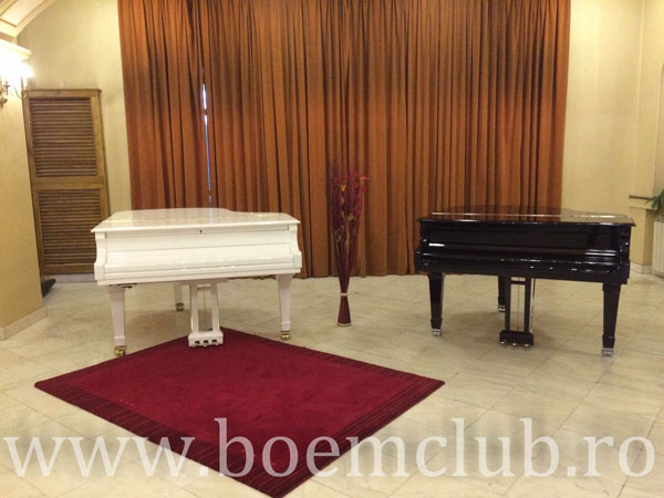 Expozitia de piane si pianine Perzina-2