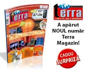 Terra Magazin