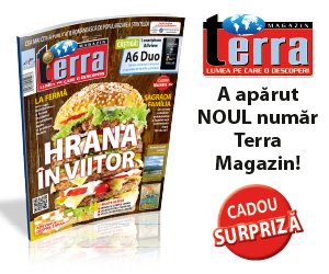 Terra Magazin