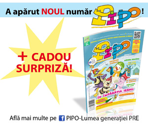 PIPO din noiembrie 2016