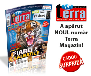 TERRA MAGAZIN din iunie 2016