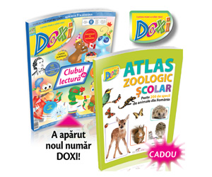 DOXI din ianuarie 2017