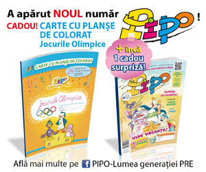 PIPO iunie 2016