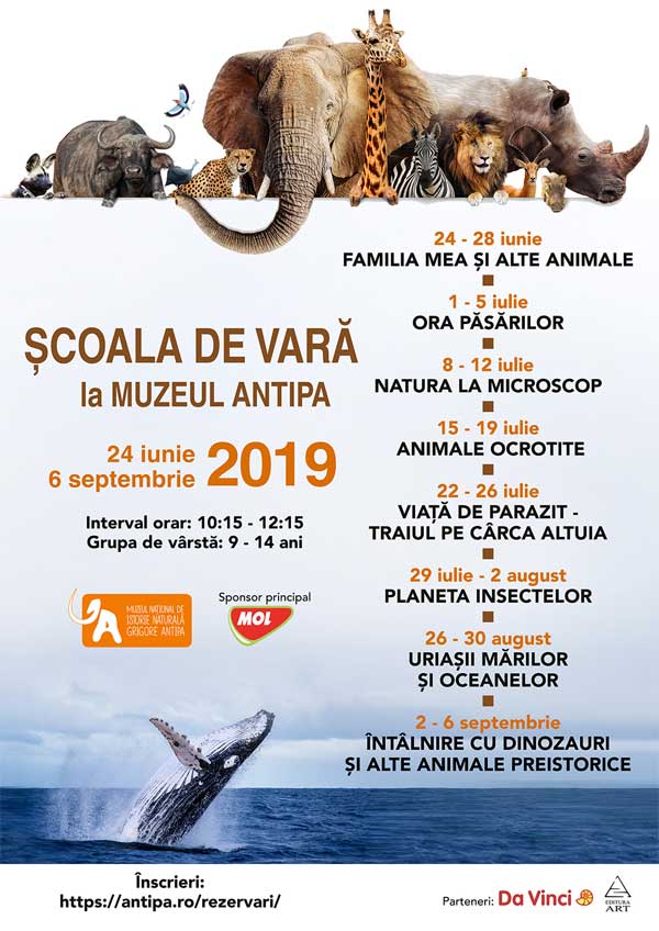 Scoala de vara la Antipa