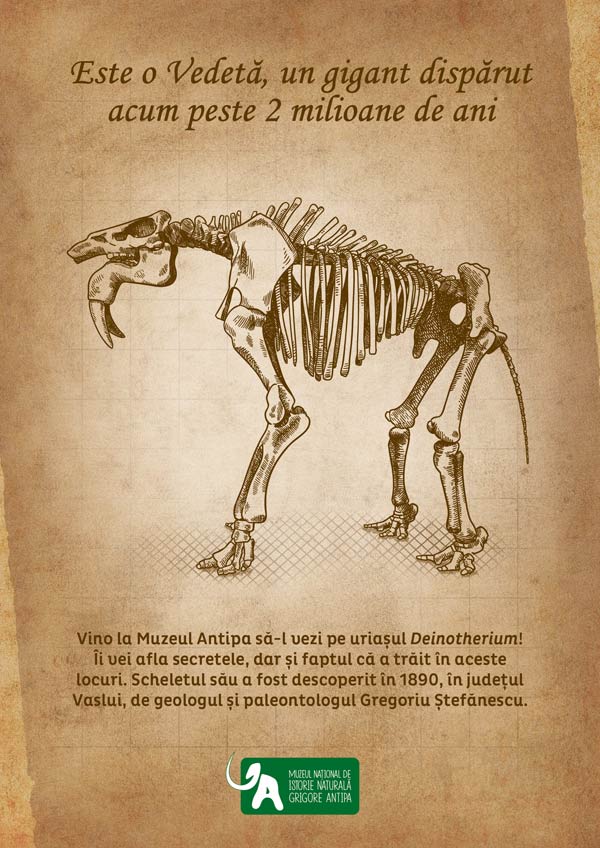 Deinotherium gigantissimum