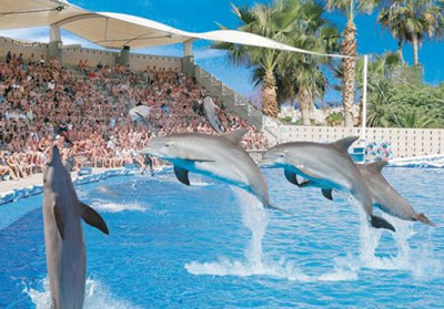 Delfinariu Aqualand