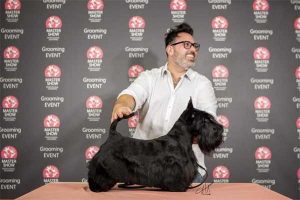PetExpo 2019, intre 12 si 14 Aprilie, la Romexpo