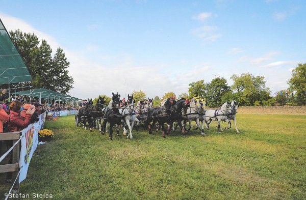 Karpatia Horse Show 2018