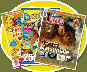 Doxi si Terra - iunie