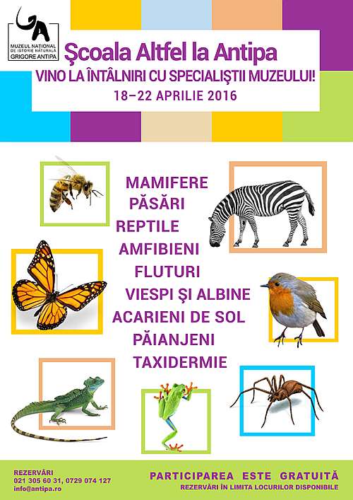 Scoala Altfel la Muzeul Antipa