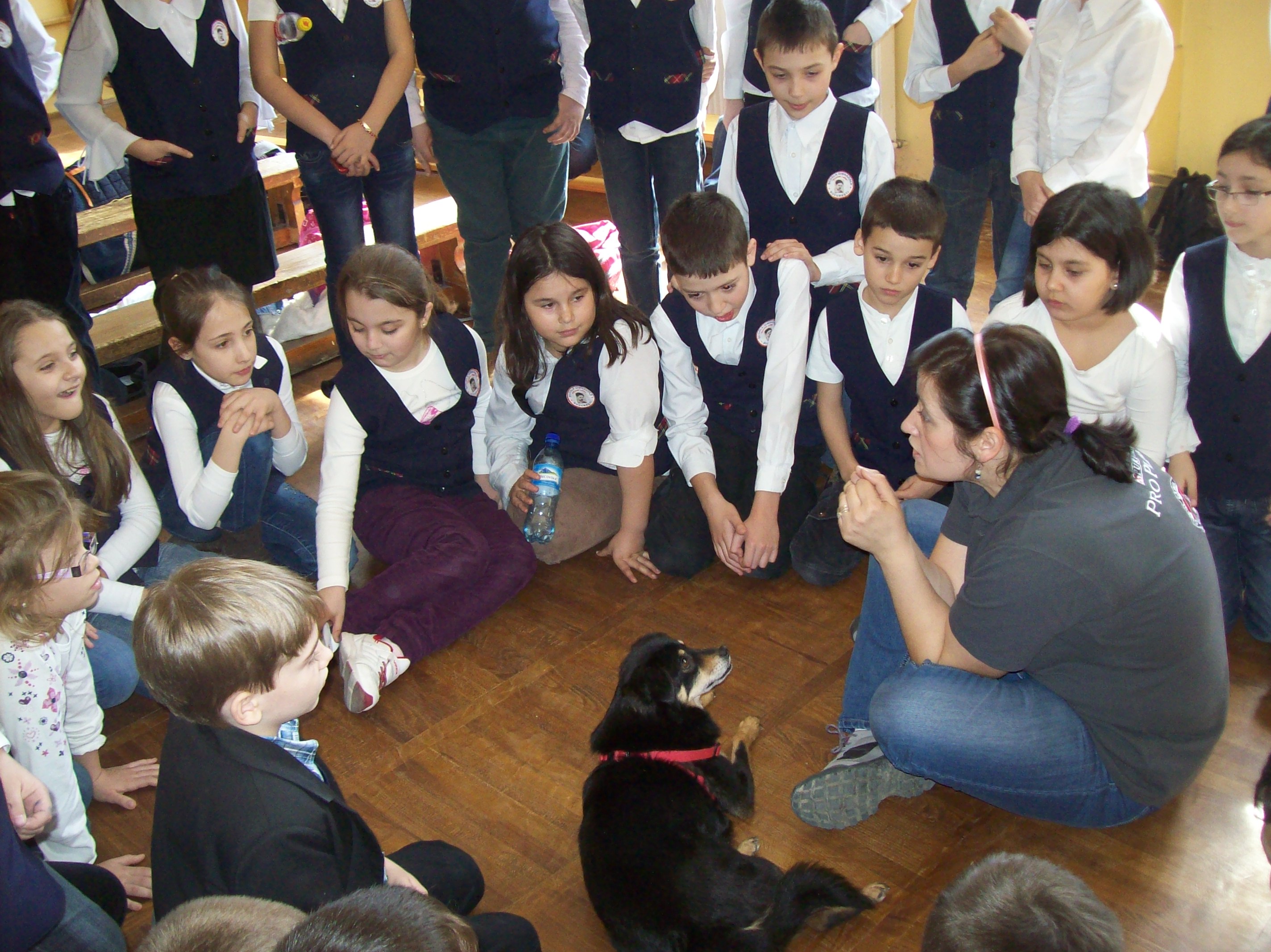 Clubul Cainilor Utilitari