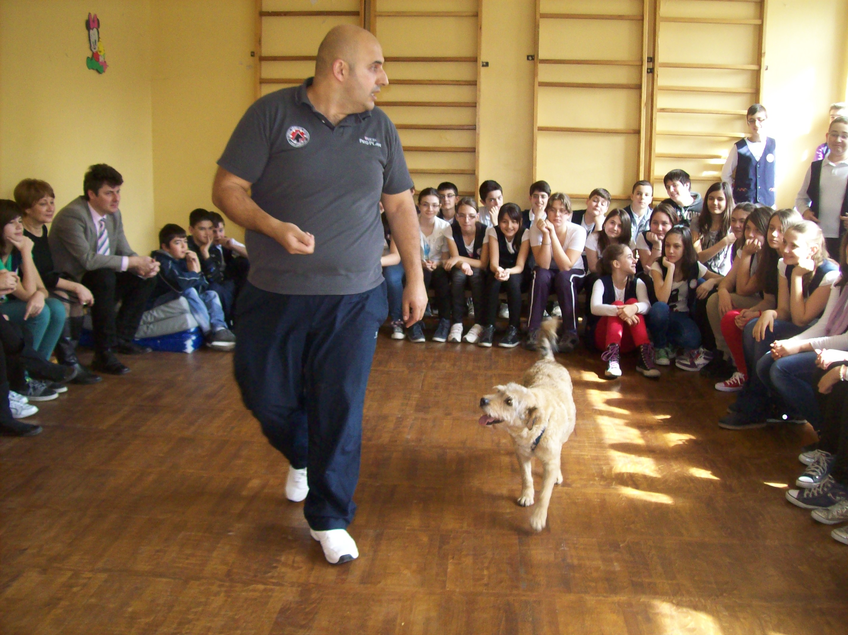 Clubul Cainilor Utilitari