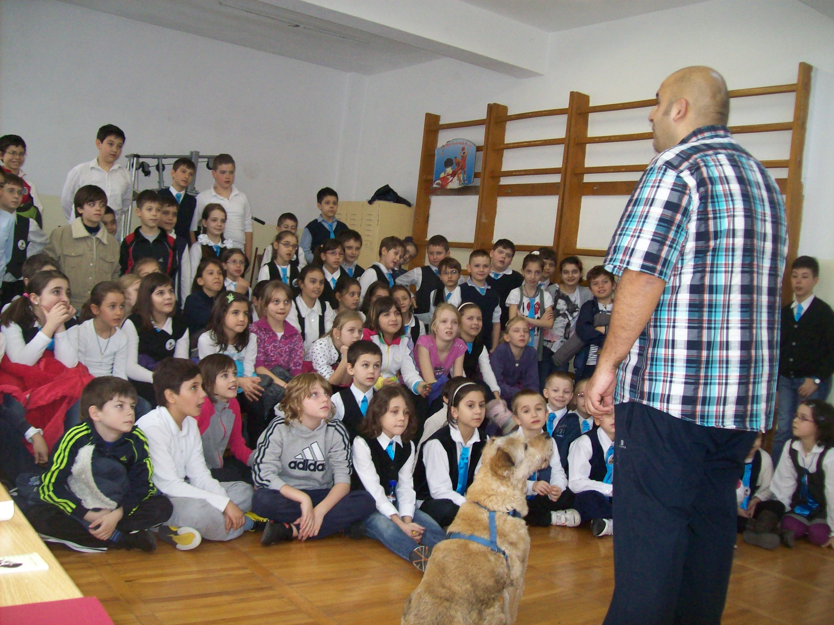 Clubul Cainilor Utilitari