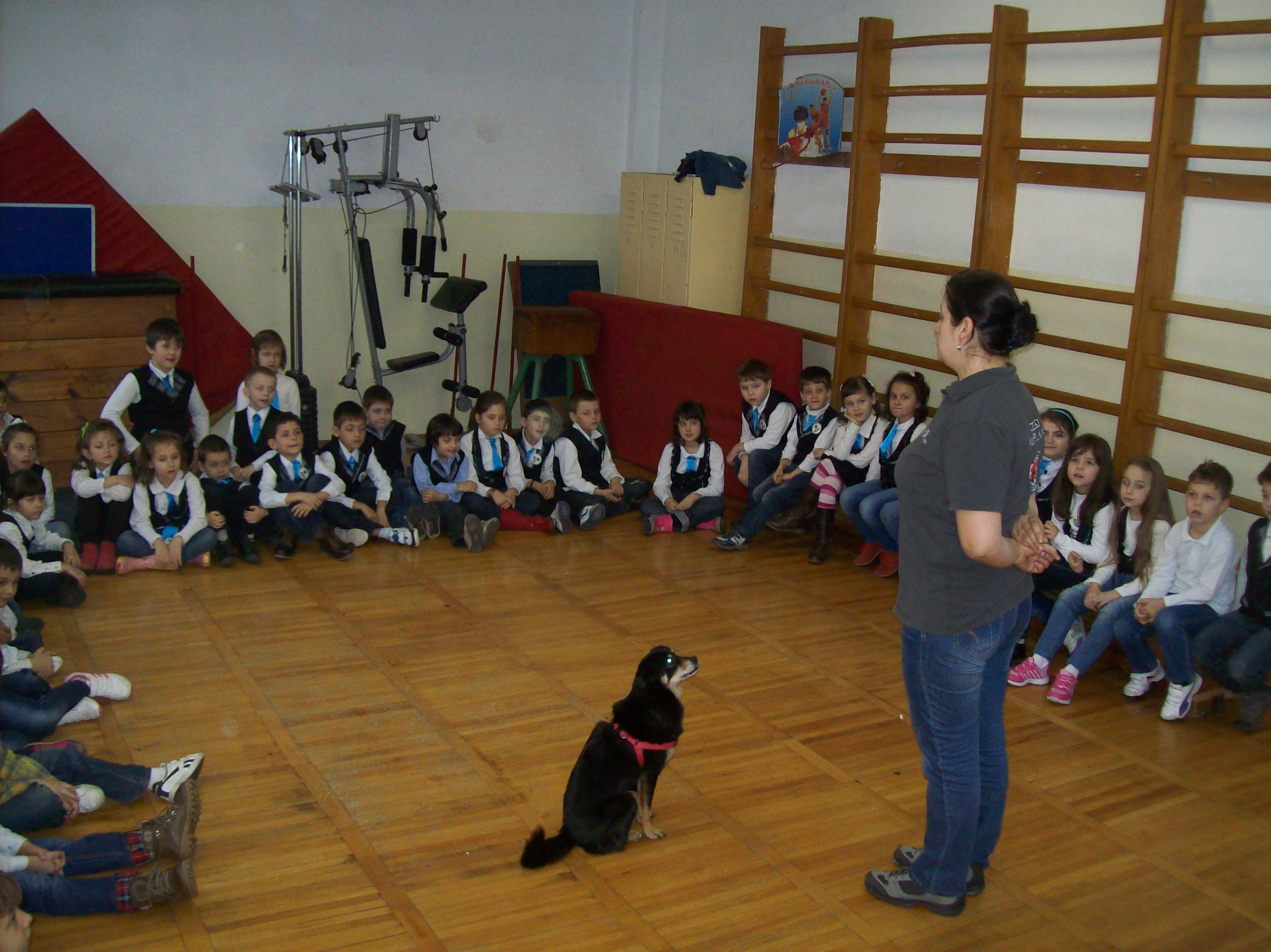 Clubul Cainilor Utilitari