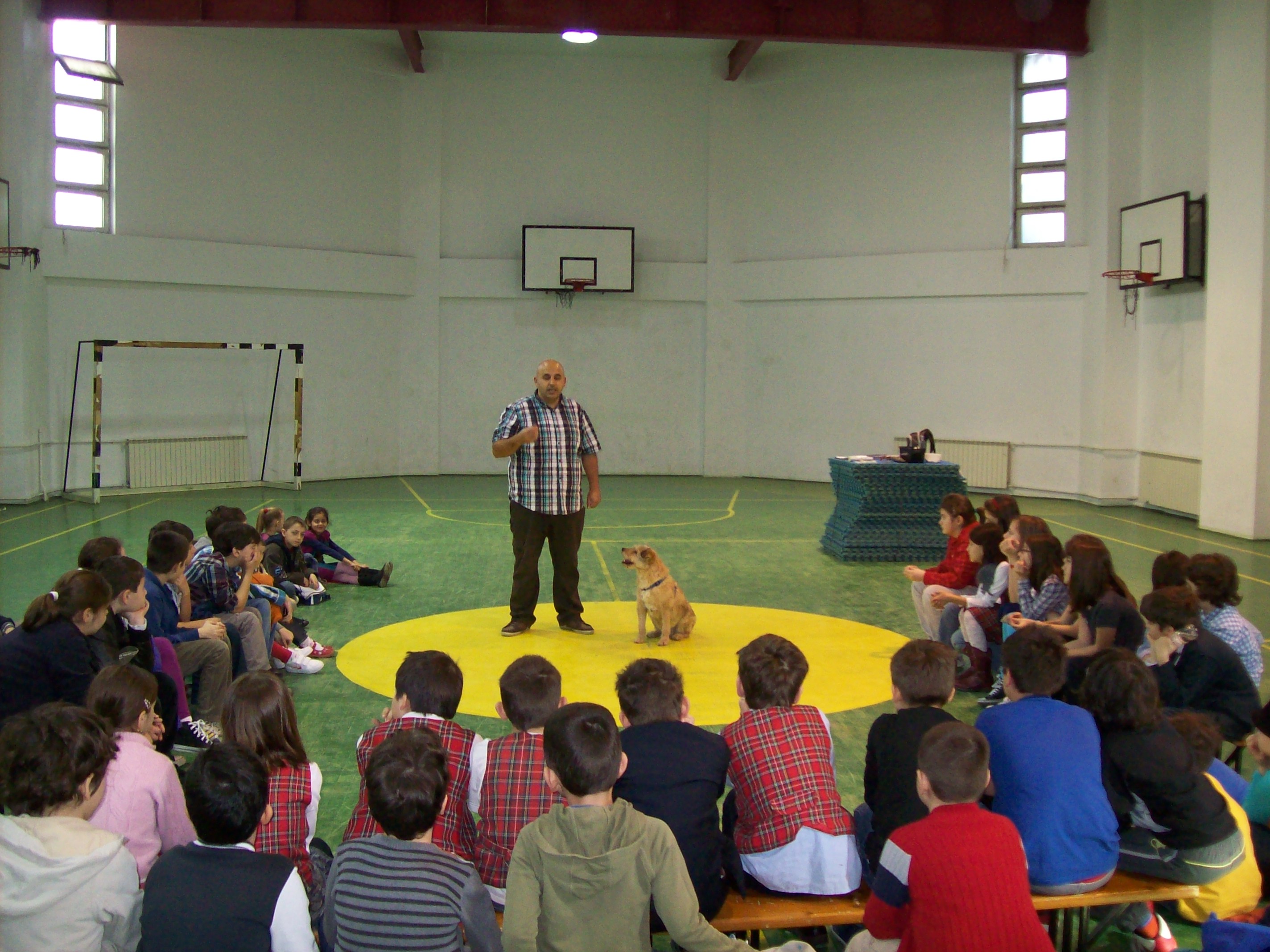 Clubul Cainilor Utilitari