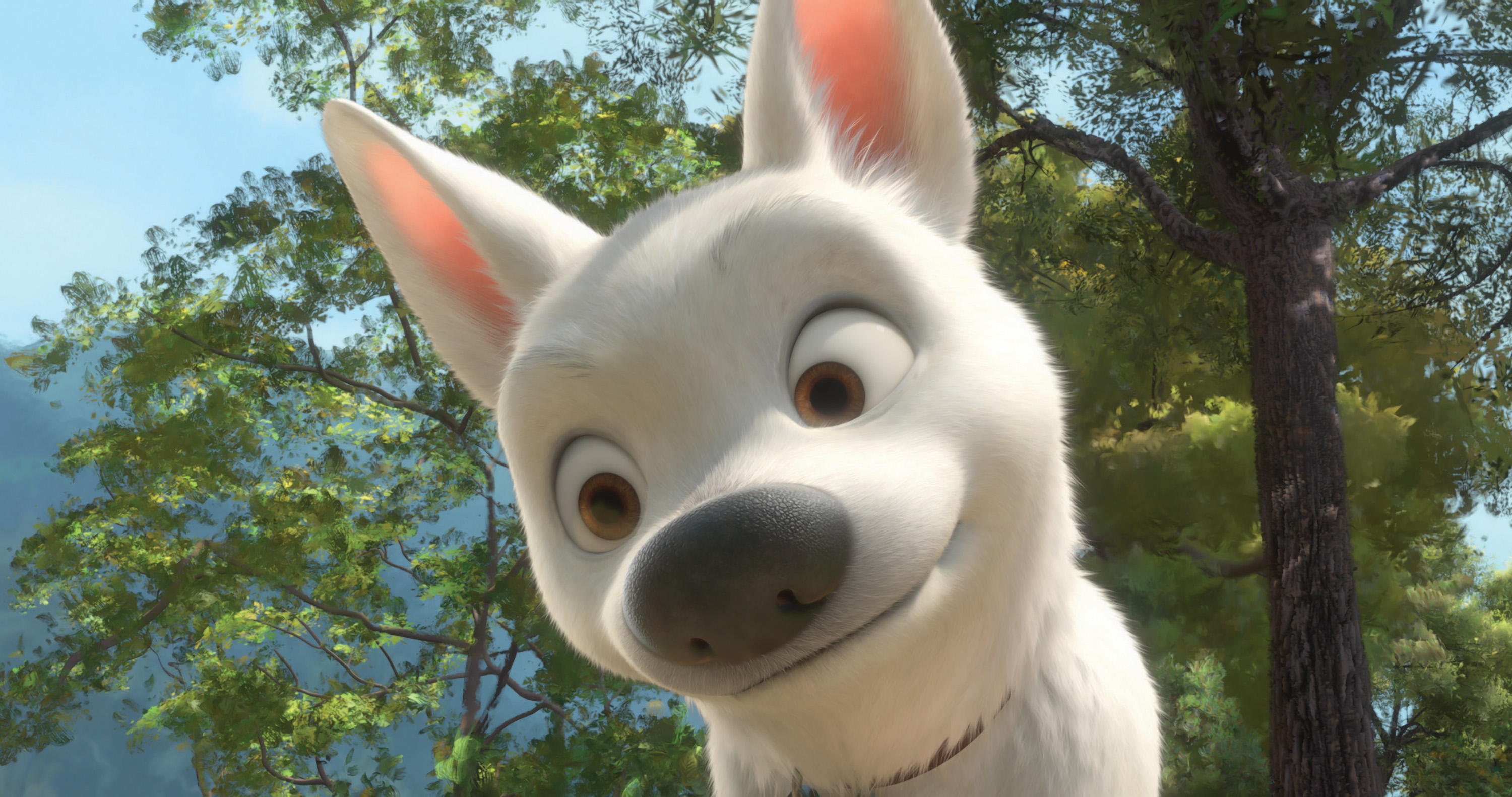Sambata, 22 septembrie la 11:00 filmul "BOLT" are premiera la Disney Channel!
