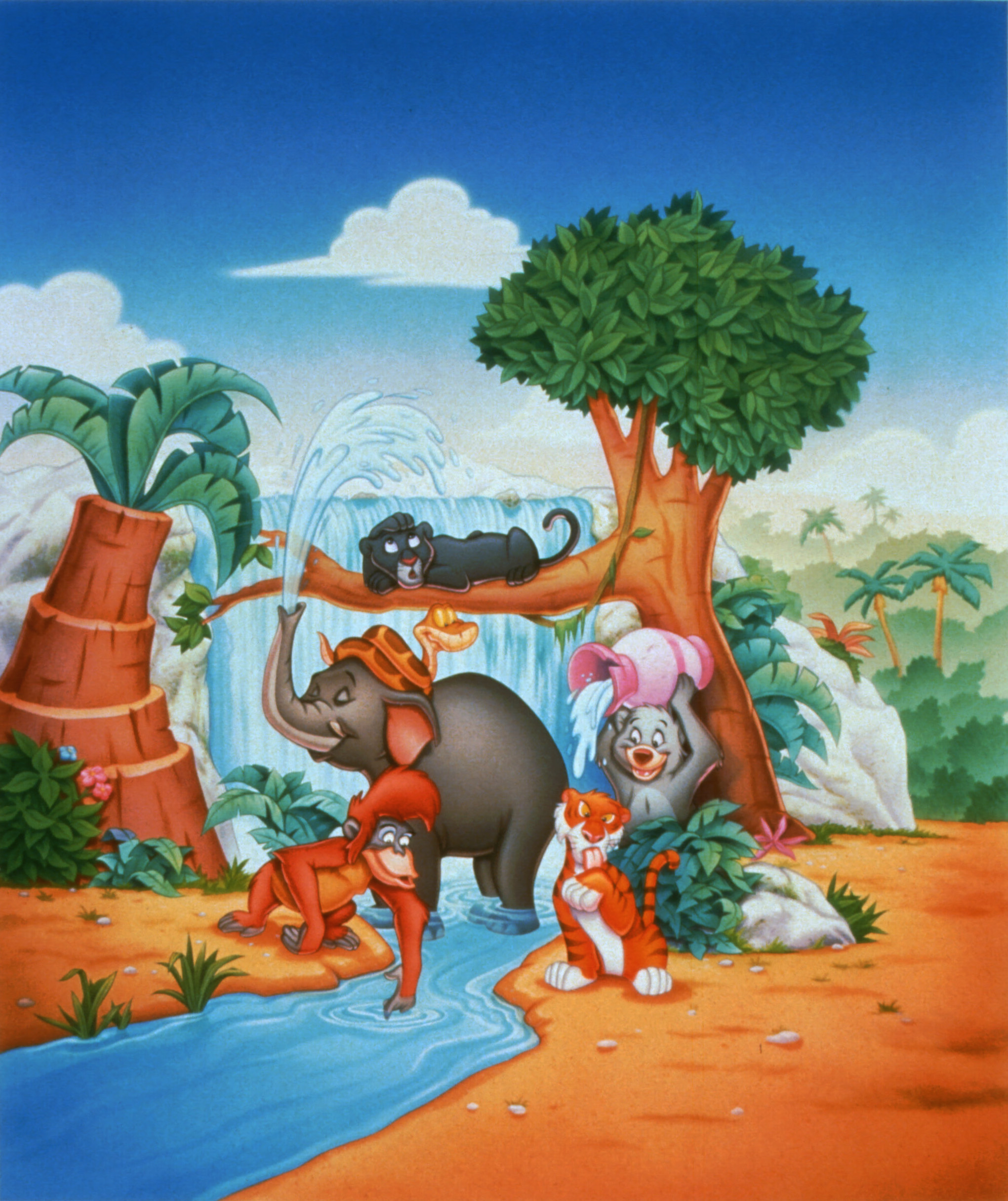 MICUTA CARTE A JUNGLEI