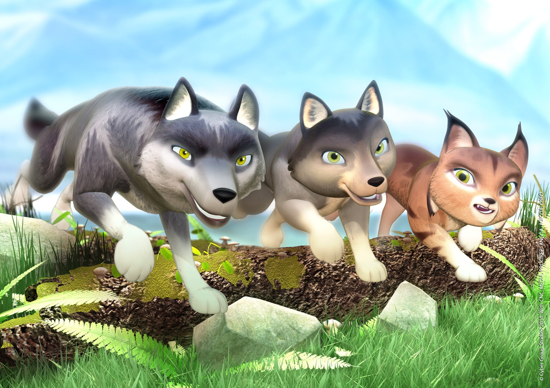 Povestile lui Tatonka