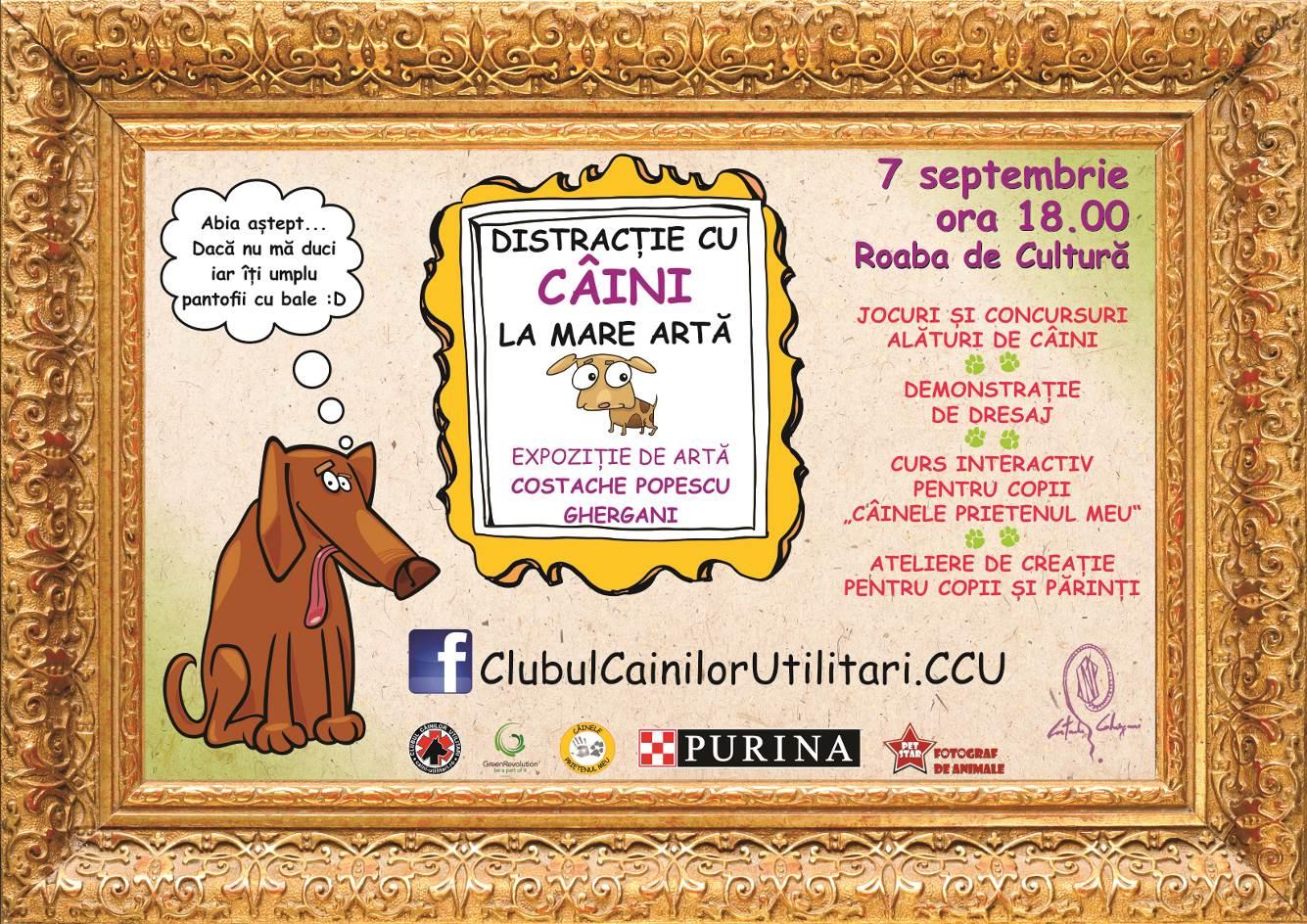 Distractie cu caini la mare arta