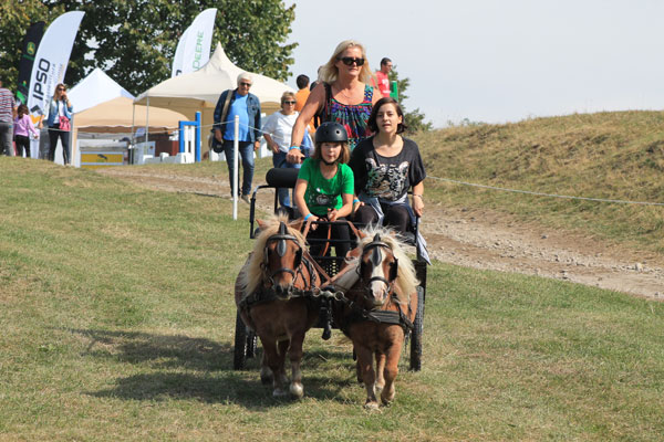 Pony Show 2017