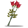 Buchet trandafiri