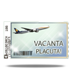 Bilet de avion