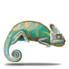 Cameleon