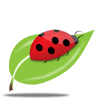 Gargarita