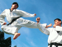 Karate-do