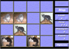 Memory Cats