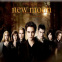 Twilight grup
