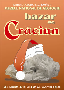 Bazar de Craciun
