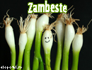 Zambeste - Trimite felicitare