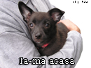Ia-ma acasa - Trimite felicitare