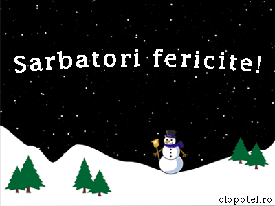 Felicitare aleasa - Happy holidays!