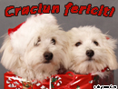 Craciun fericit! - Trimite felicitare
