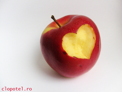 Tentatie Felicitare aleasa - Tentatie
