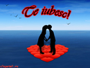 Te iubesc - Trimite felicitare