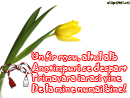 Un fir rosu,unul alb - Trimite felicitare