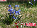 1 Martie - Trimite felicitare
