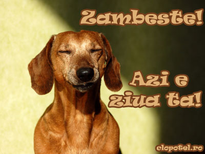 Felicitare aleasa - Zambeste de ziua ta