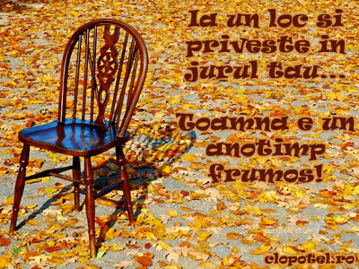 Felicitare aleasa - Toamna e frumoasa