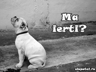 Ma ierti? Felicitare aleasa - Ma ierti?