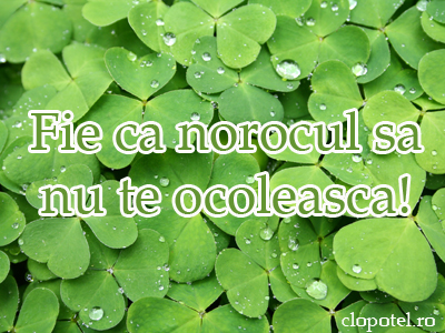 Felicitare aleasa - Noroc!