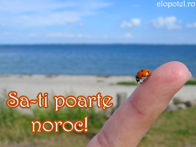 Felicitare aleasa - Pentru noroc