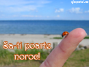 Pentru noroc - Trimite felicitare