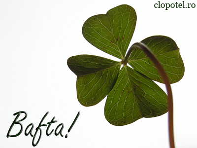 Felicitare aleasa - Bafta!