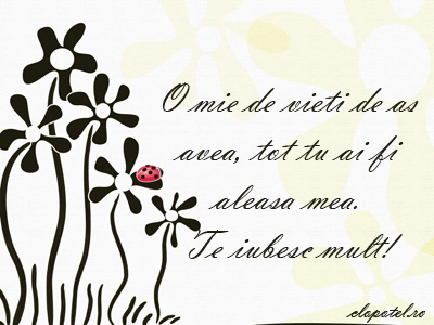 Te iubesc! Felicitare aleasa - Te iubesc!