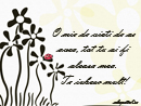 Te iubesc! - Trimite felicitare
