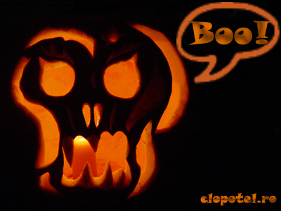 Boo Felicitare aleasa - Boo